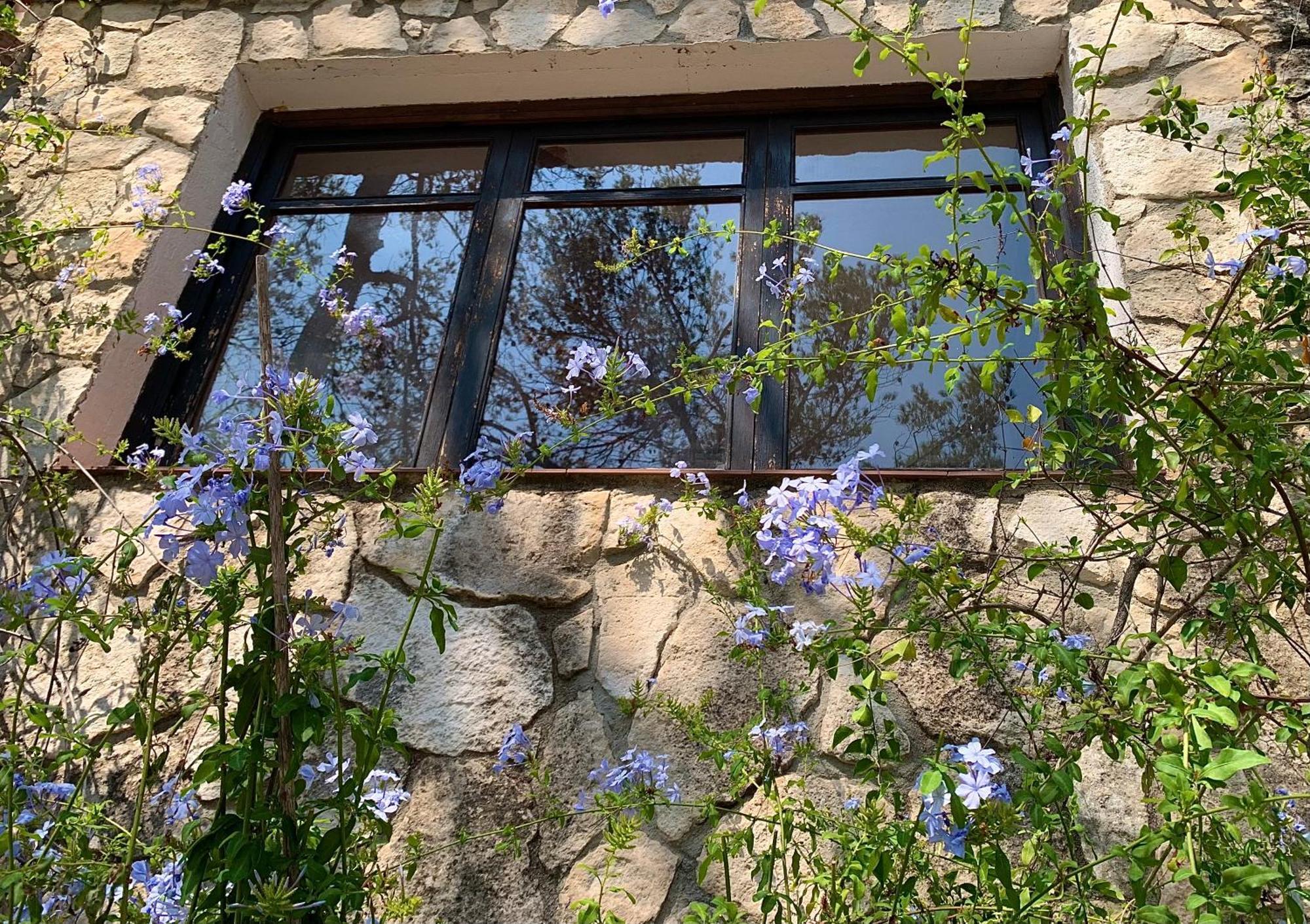 Ferienwohnung La Casita Del Bosque Sant Pere De Ribes Exterior foto